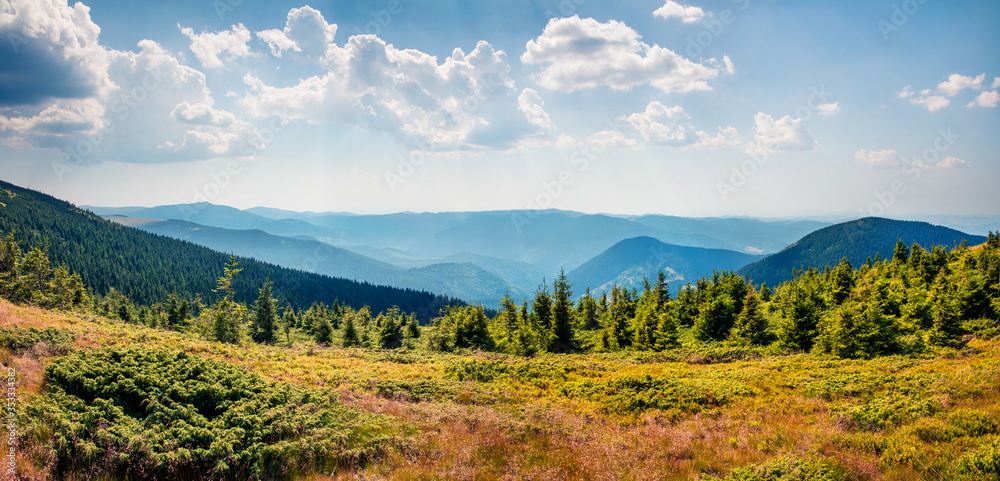 Panoramic summer view from Vladeasa mountain range, Cluj County, Romania. Bright morning scene of Apuseni Mountains. Beauty of nature concept background.