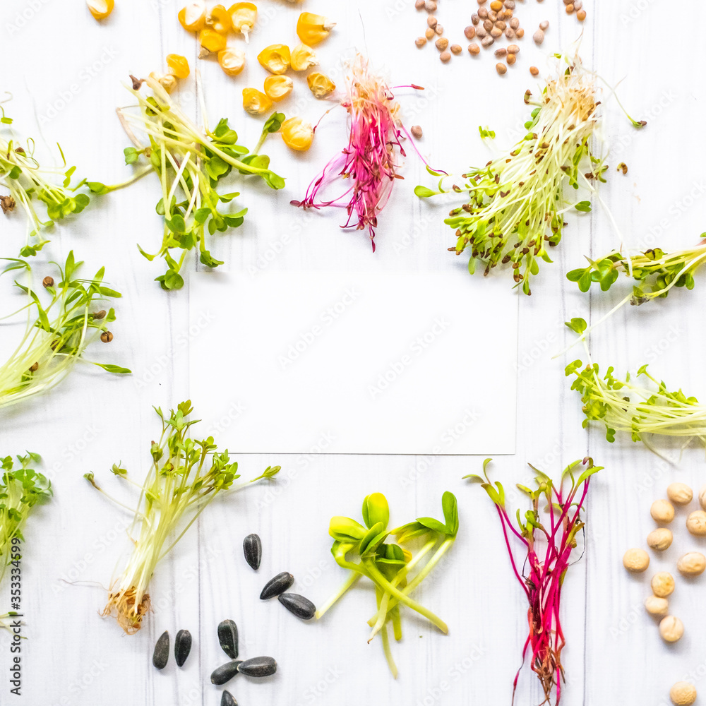 Microgreen sprouts, seeds and beans lying on white background, healthy nutrition