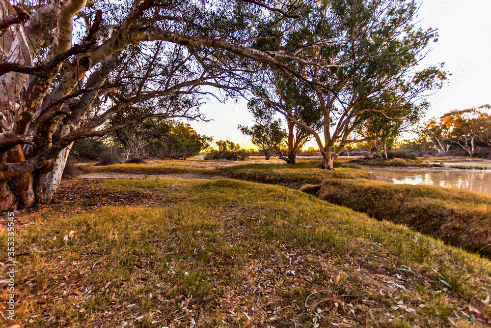 Fototapeta premium Cooper Creek in outback South Australia.
