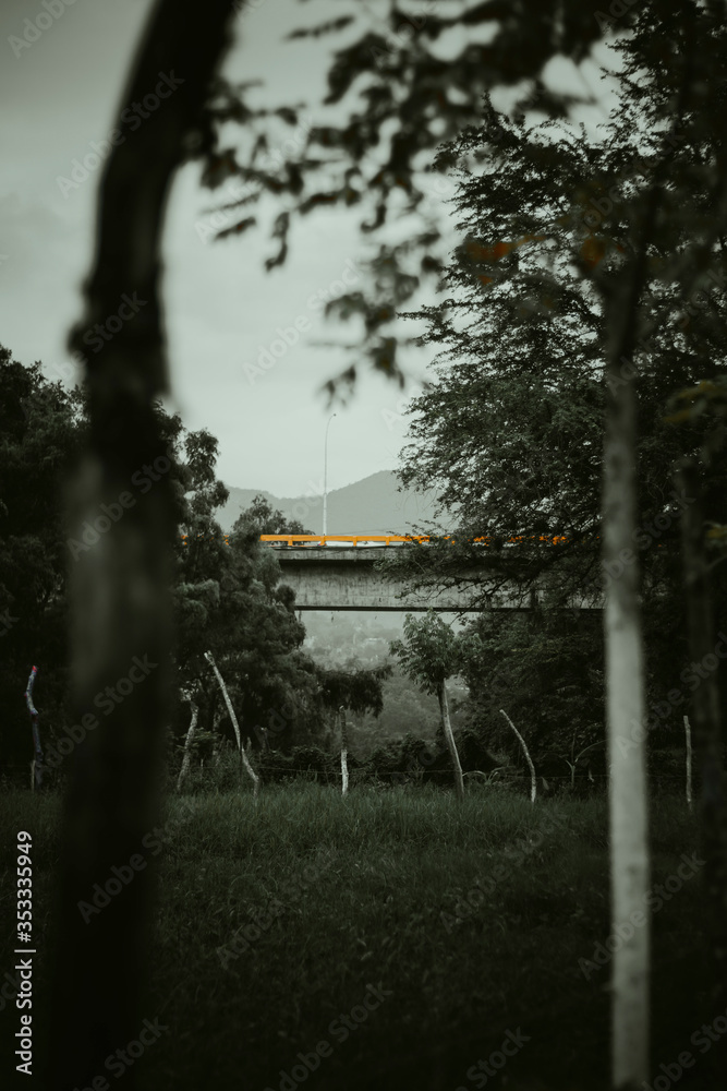 Obraz premium puente