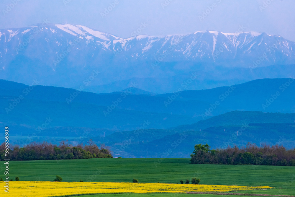 White peaks of Balkan mountain above Lovech and blooming raps field in the foreground. Stara planina mountain range, Bulgaria