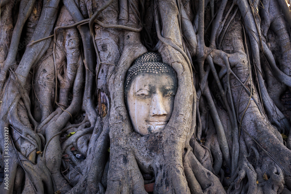 tete de buddha dans les racines du temple d'ayutthaya en Thailande 