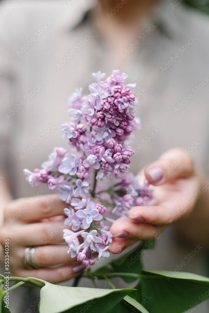 a bouquet of lilacs with woman hands a bouquet of lilacs with woman hands