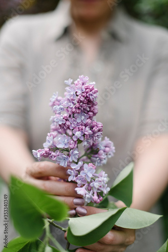 a bouquet of lilacs with woman hands