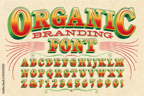 Organic Branding Font Ornate Alphabet