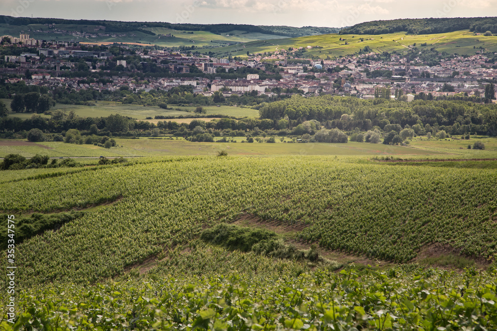 a view on Epernay, champagne region, from the vineyards