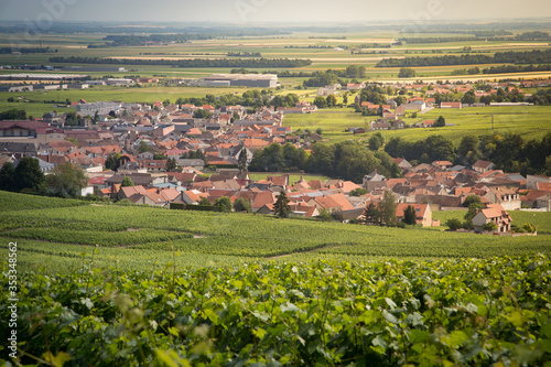 The village of Mesnil sur Oger in champagne, France