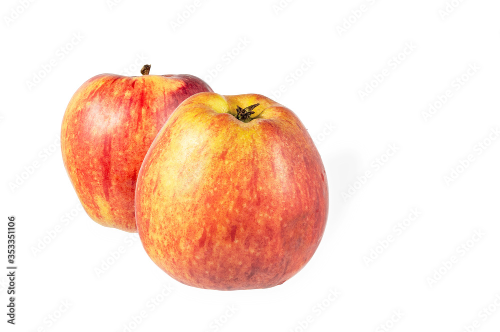 two ripe red apple isolated on a white background two ripe red apple isolated on a white background