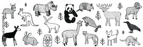 Collection of hand drawn wild animals.Black outline drawings isolated on white background.Set of different kind of animal. Doodle style.