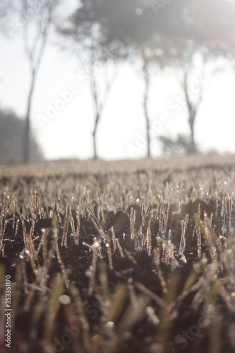 Frozen fields - stringtime agricultural image photo