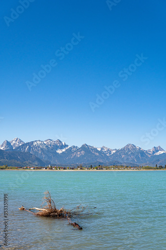 Forggensee im Fr  hling mit Blick auf die allg  uer Berge