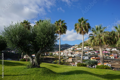 Jardim de Ilheu, Camara de Lobos, Madeira © Paulina