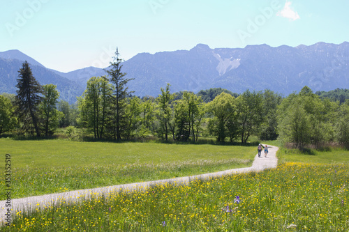 wandern im Murnauer Moor , einer einzigartigen Moorlandschaft in Oberbayern photo