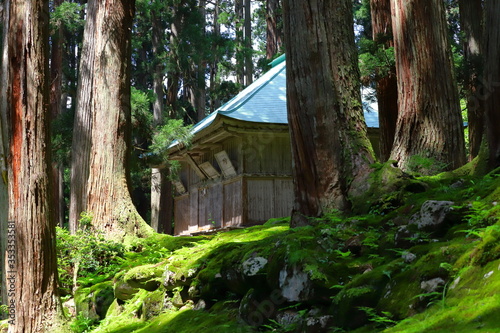 Wallpaper Mural 森の中にある建物 Torontodigital.ca