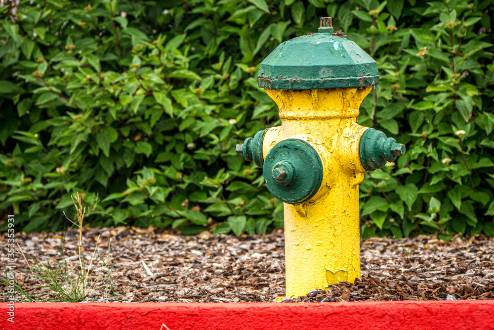 fire hydrant along a red curb fire hydrant along a red curb