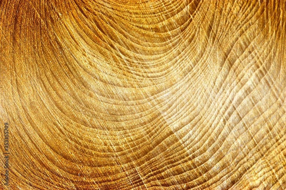 Naklejka premium brown wooden texture wall pattern background