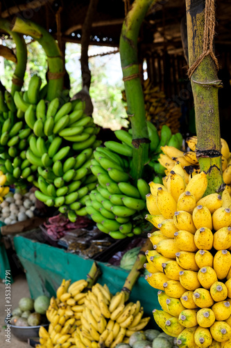 A bunch of bananas at a local Sri Lankan food market. An outdoor shop selling fruit including green and yellow freshly grown banana. Closeup view from the tourist experience visiting local villages.