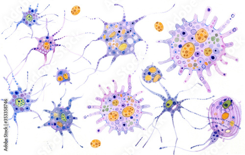 Medical watercolor illustration.
Neurons in the brain on white background. Neurons are the units of the nervous system.