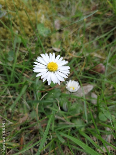 Natur.