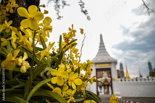 entrance to the Royal Palace (Sanam Chai road) during coronation celebrations of His Majesty King Maha Vajiralongkorn Bodindradebayavarangkun (Rama X), Bangkok, Thailand photo