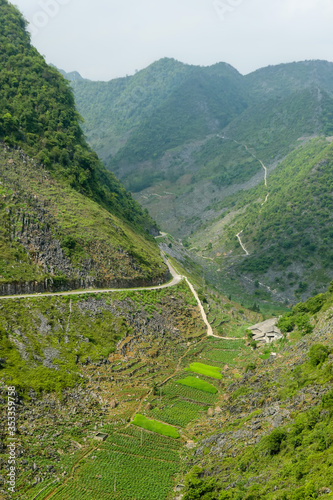 typical Vietnamese landscape in spring with rice fields