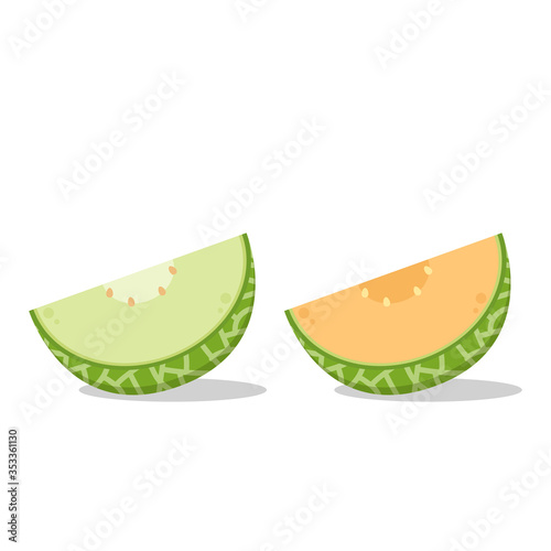 Melon vector. Melon on white background.