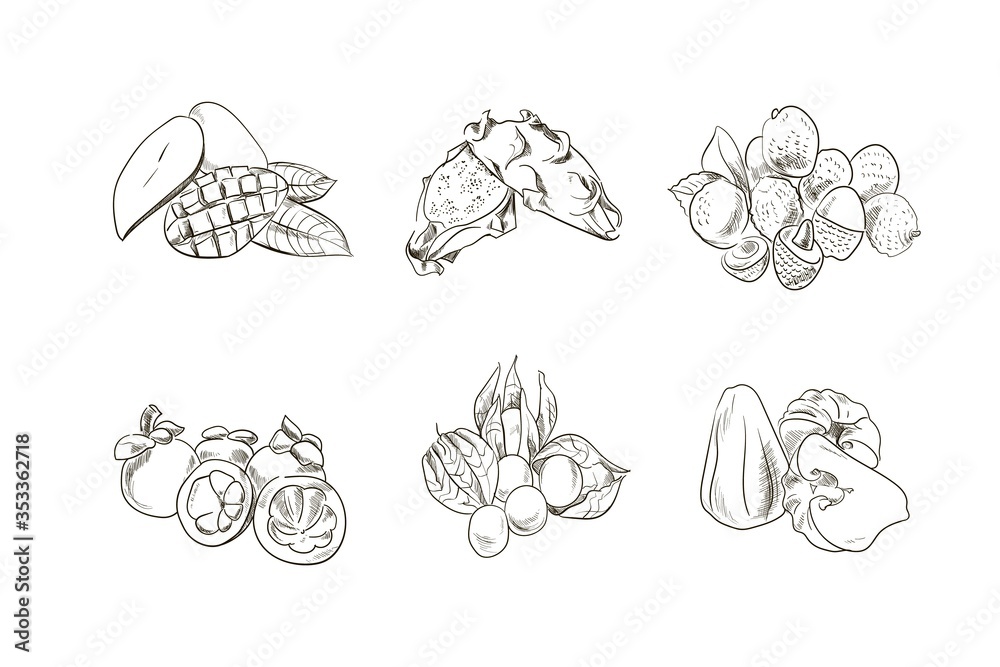 A collection of hand-drawn fruits isolated on a light background. Mango, Apple, physalis, and others. Menu kit