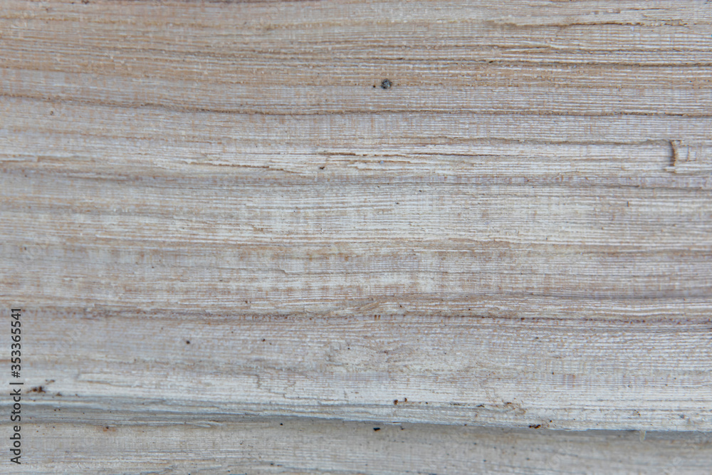 Obraz premium closeup photo of old wood. background and texture of the timber