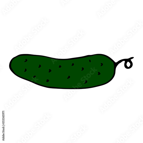 Green cucumber. Hand drawn outline doodle icon. Colorful isolated on white background. Vector illustration for greeting cards, posters, patches, prints for clothes, emblems.