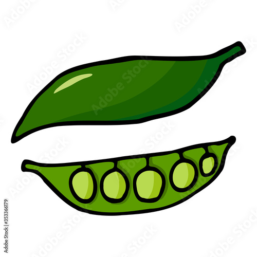 Green pea pod with peas. Hand drawn outline doodle icon. Colorful isolated on white background. Vector illustration for greeting cards, posters, patches, prints for clothes, emblems.