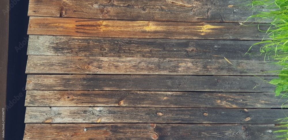 Fototapeta premium wood texture