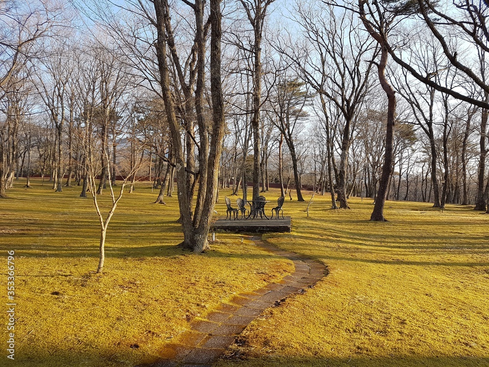 Japanese park with dry grasses on the ground.