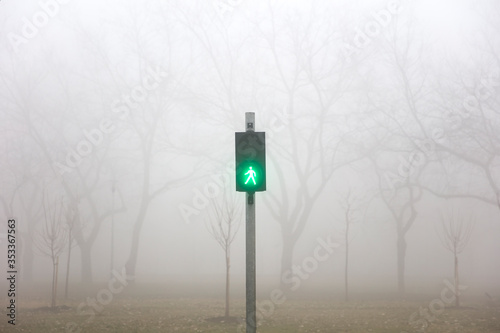 Trafic lights in the foggy ...