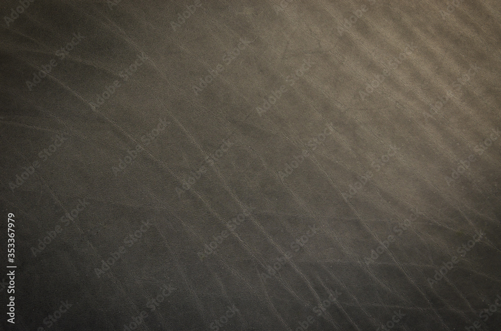 Obraz premium Dark gray cattle skin texture with empty place for text top view, background for your text. Flat lay