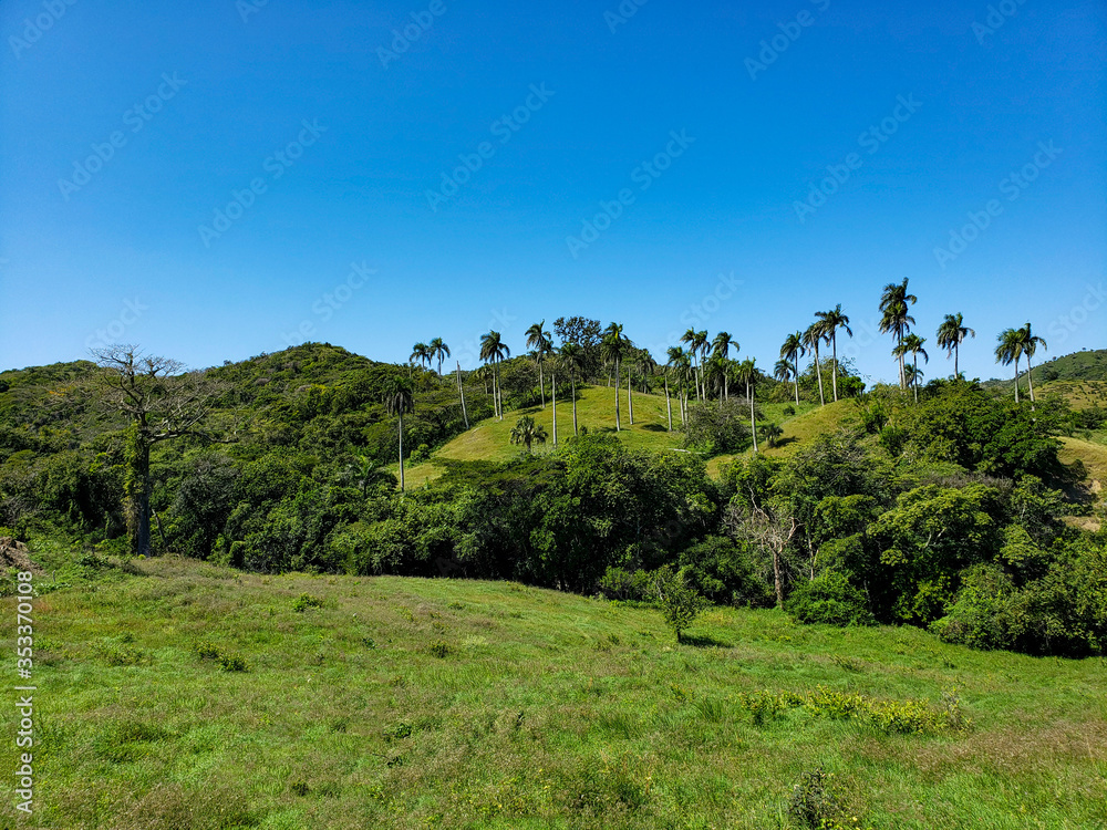 Tropical landscape in the dominican republic