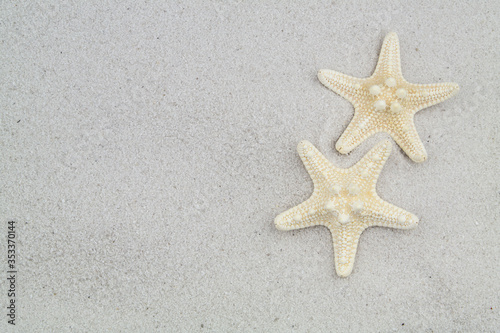 Two starfishes on white sand background with space for text