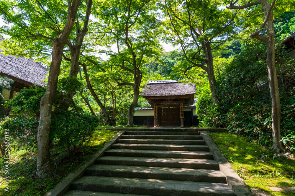 円覚寺 居士林入り口 円覚寺 居士林入り口