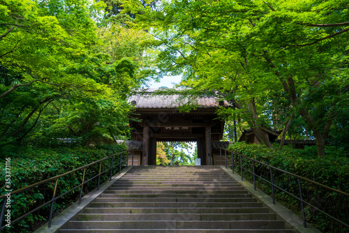 鎌倉 円覚寺の山門