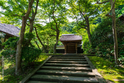 円覚寺 居士林入り口 photo