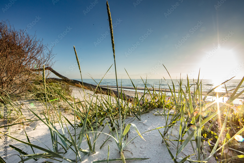 Fototapeta premium küste