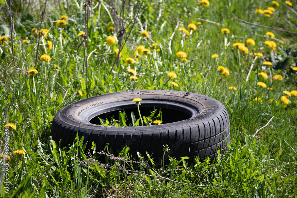 tire on grass