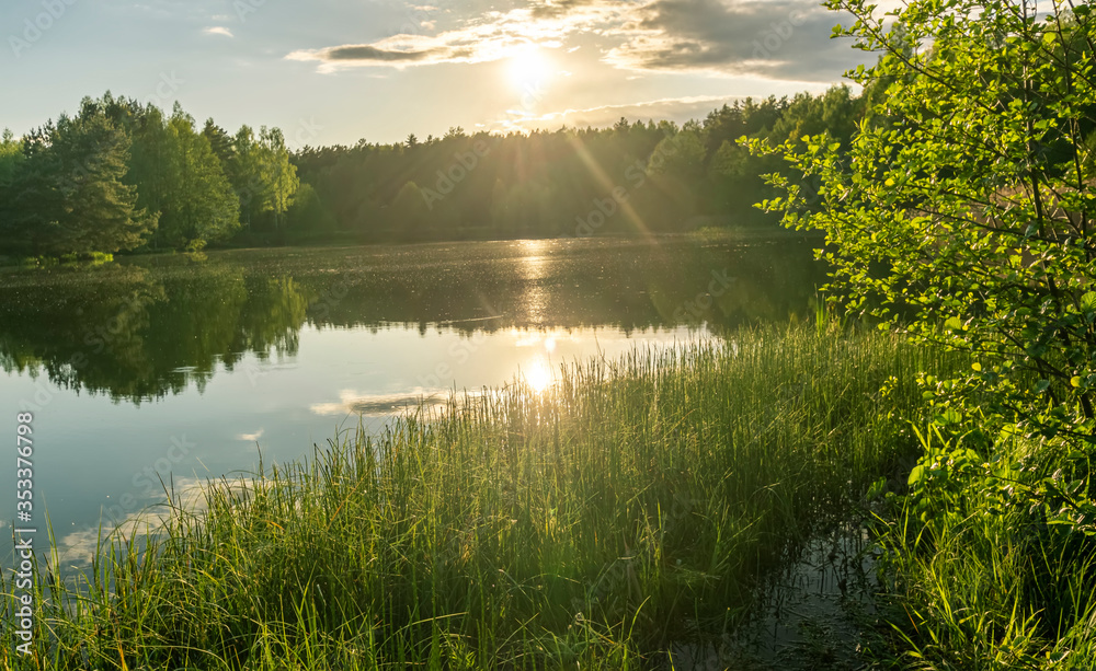 Fototapeta premium Scenic view at beautiful spring sunset on a shiny lake with green branches, birch trees, bushes, grass, golden sun rays, calm water ,deep blue cloudy sky and forest on a background, spring landscape