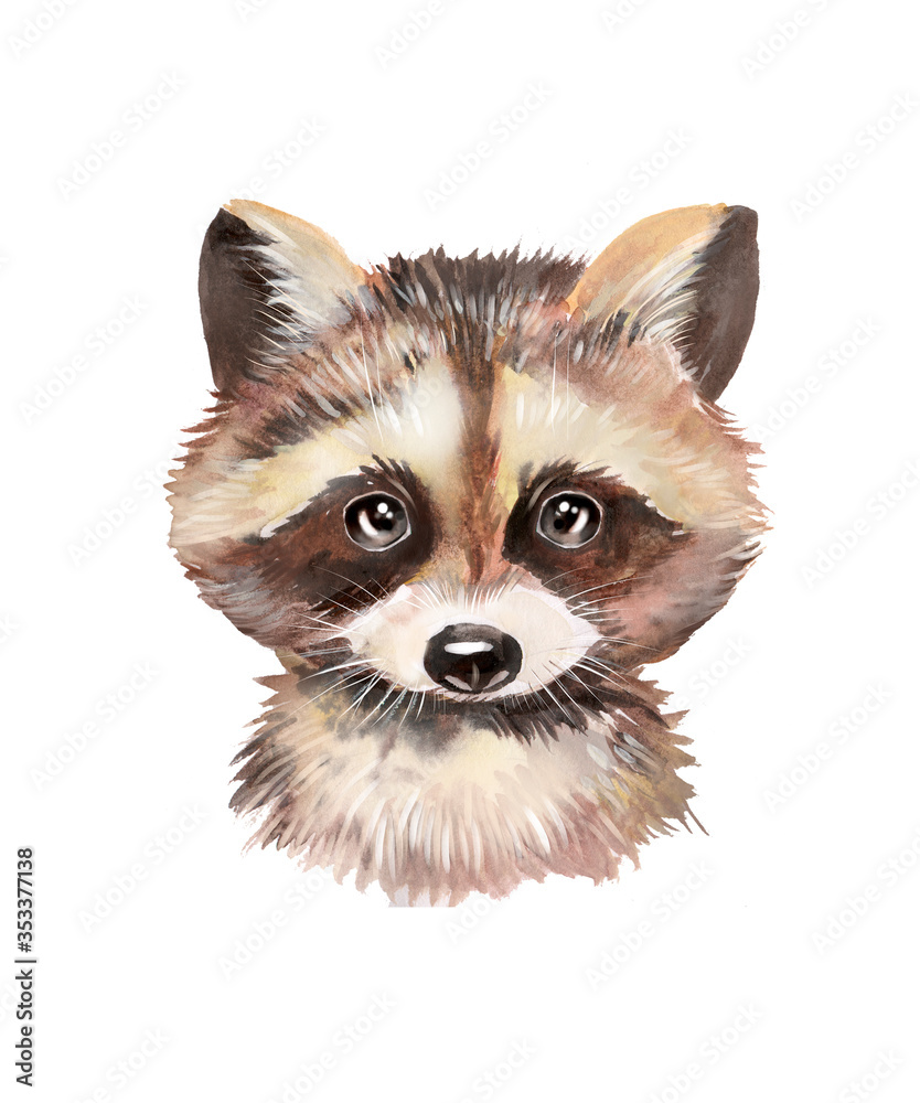 Obraz premium Watercolor illustration portrait of a raccoon.