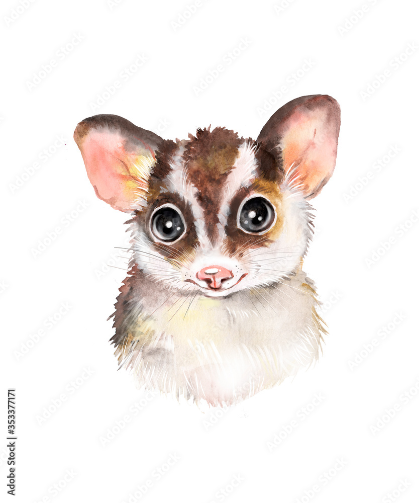 Fototapeta premium Watercolor children's flying squirrel illustration