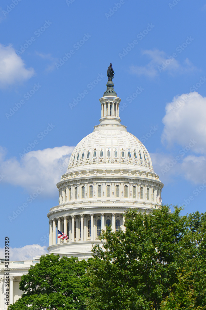 Obraz premium U.S. Capitol Building - Washington D.C. United States of America