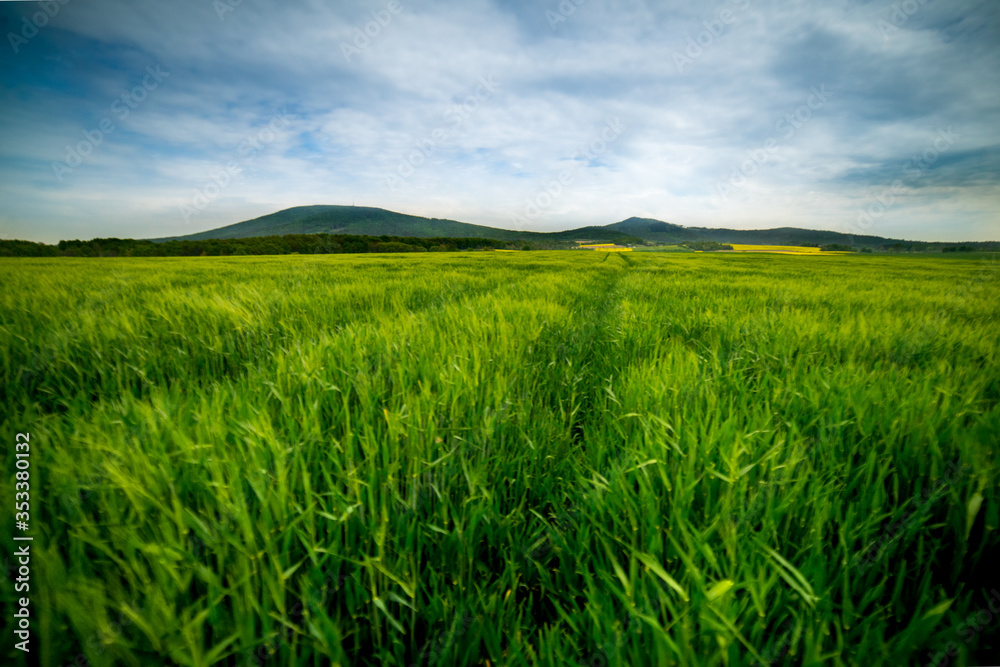 Wiosenne pole z widokiem na górę Ślężę w Polsce. Spring field with a view of the Ślęza mountain in Poland.