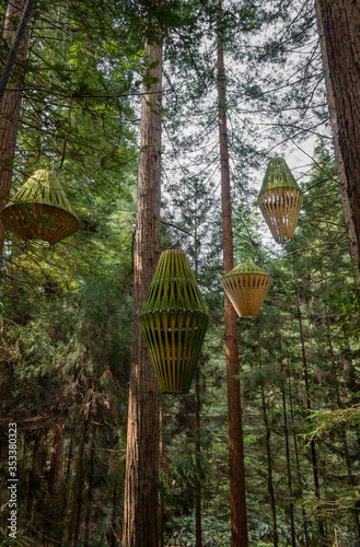 Hanging lanterns in the redwoods tree walk, Whakarewarewa forest
Rotorua, North Island, New Zealand photo