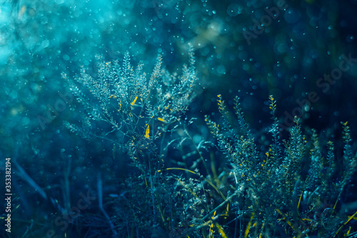 Soft turquoise background with plants. Abstract floral blue background. Sprigs and stems of flowers. The magical beauty of nature. Lens flares and beautiful bokeh