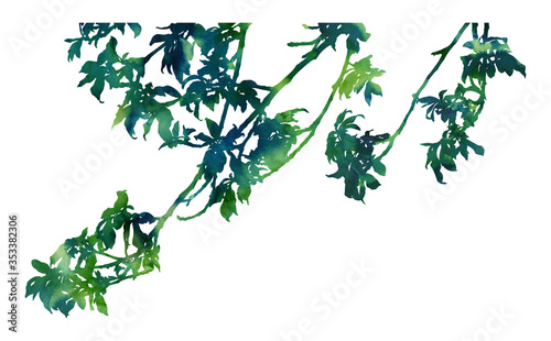 Wallpaper Mural Hand painted botanical image. Decorative picture for creative design of cards, invitations, banners, websites, posters. Beautiful artwork. Green tree branch. Torontodigital.ca