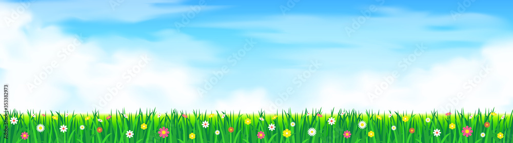 Fototapeta premium green grass lawn field with flowers summer landscape panorama